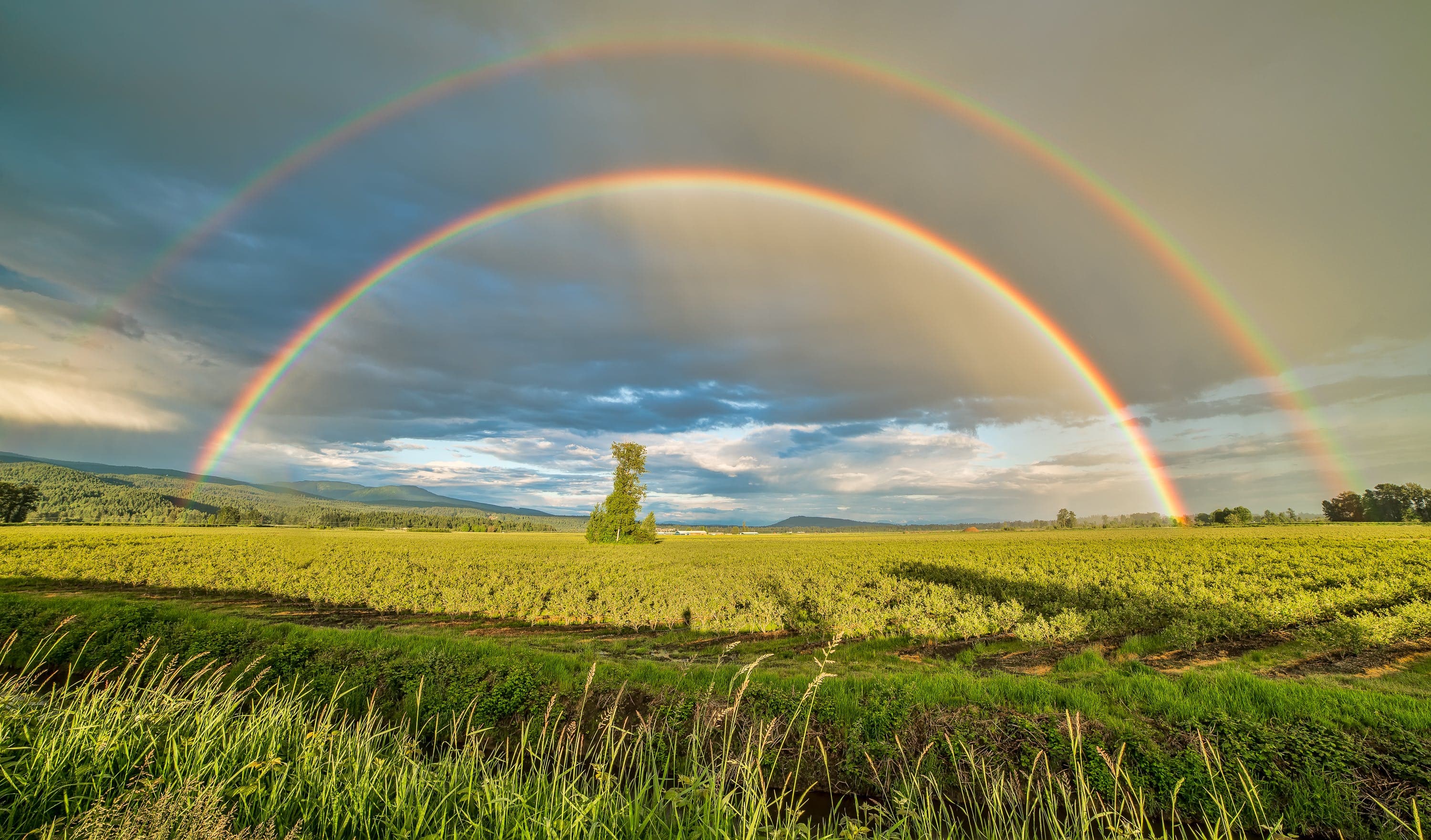 Double rainbow in Ireland